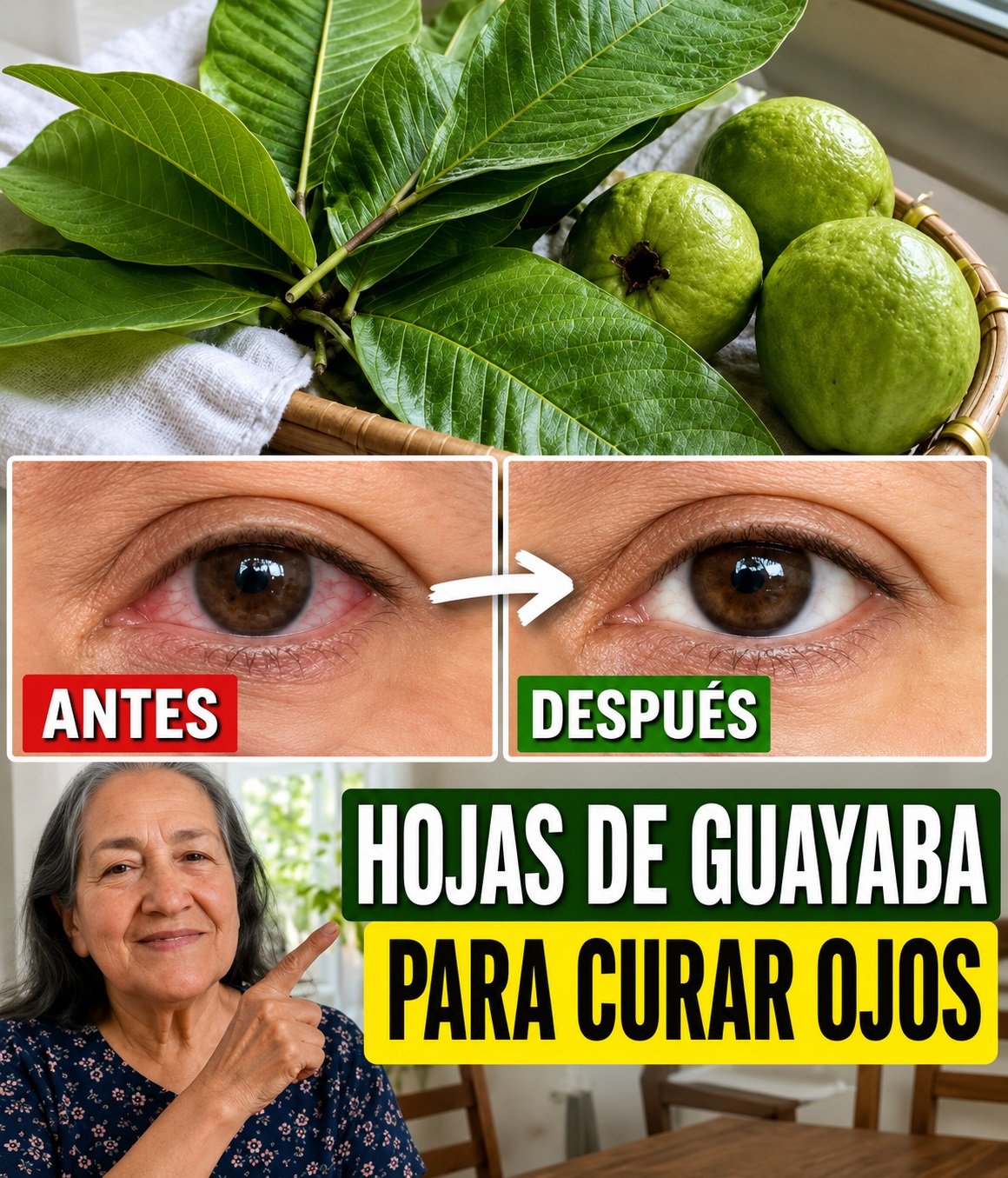 Hojas y frutas de guayaba