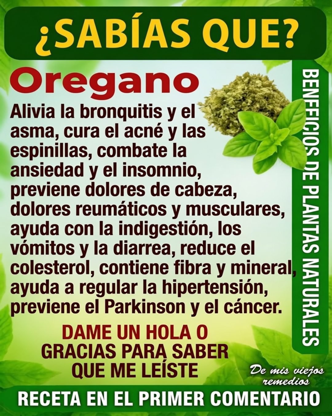 Infografía sobre los beneficios del orégano