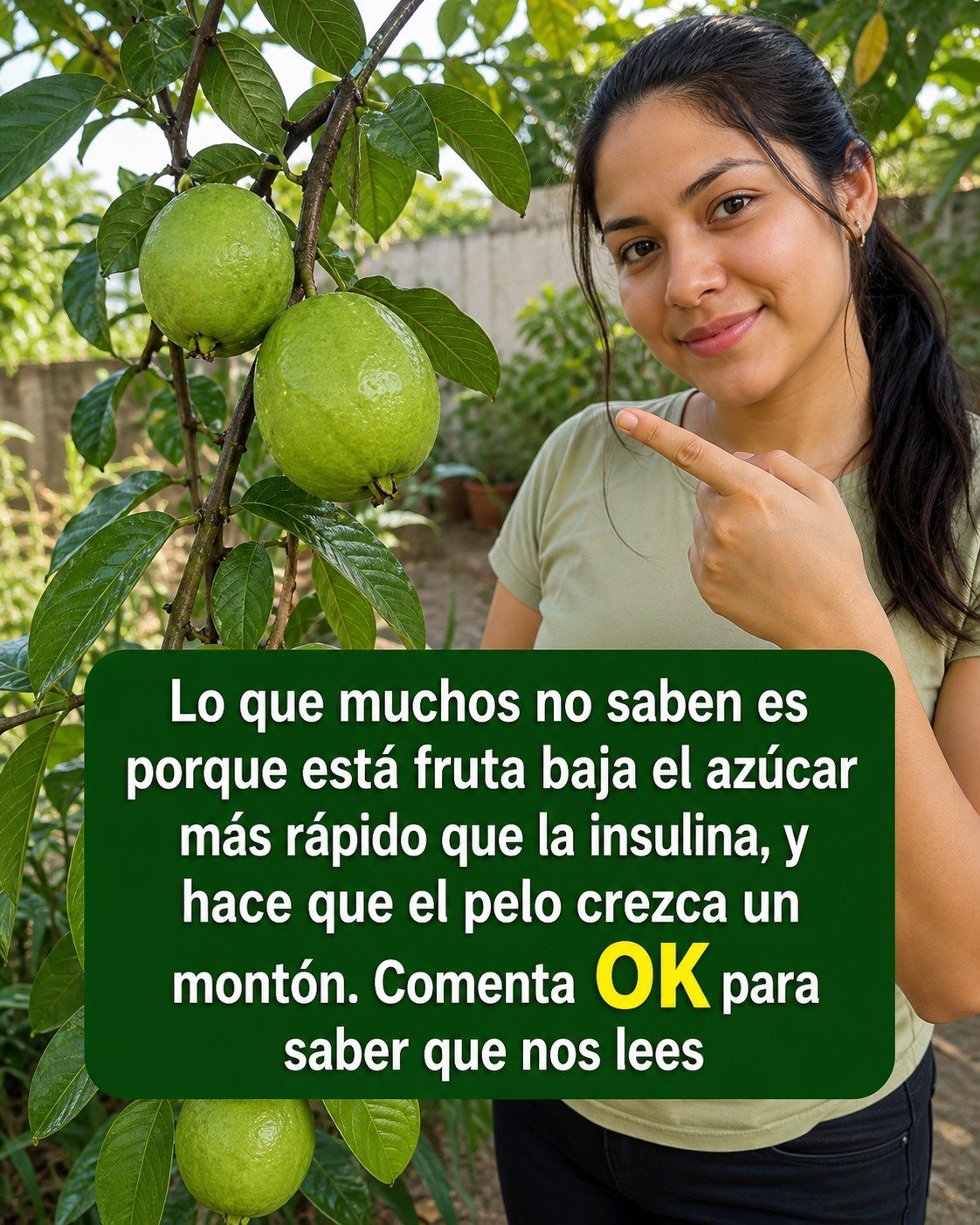 Frutas de guayaba en un árbol