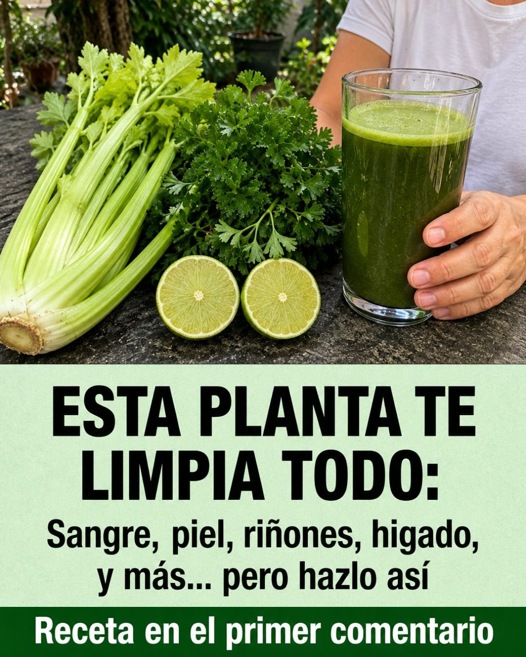 Ingredientes naturales para jugo de apio