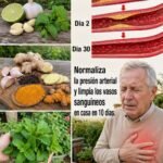 Dile Adiós a las Arterias Obstruidas con Estos Poderosos Alimentos