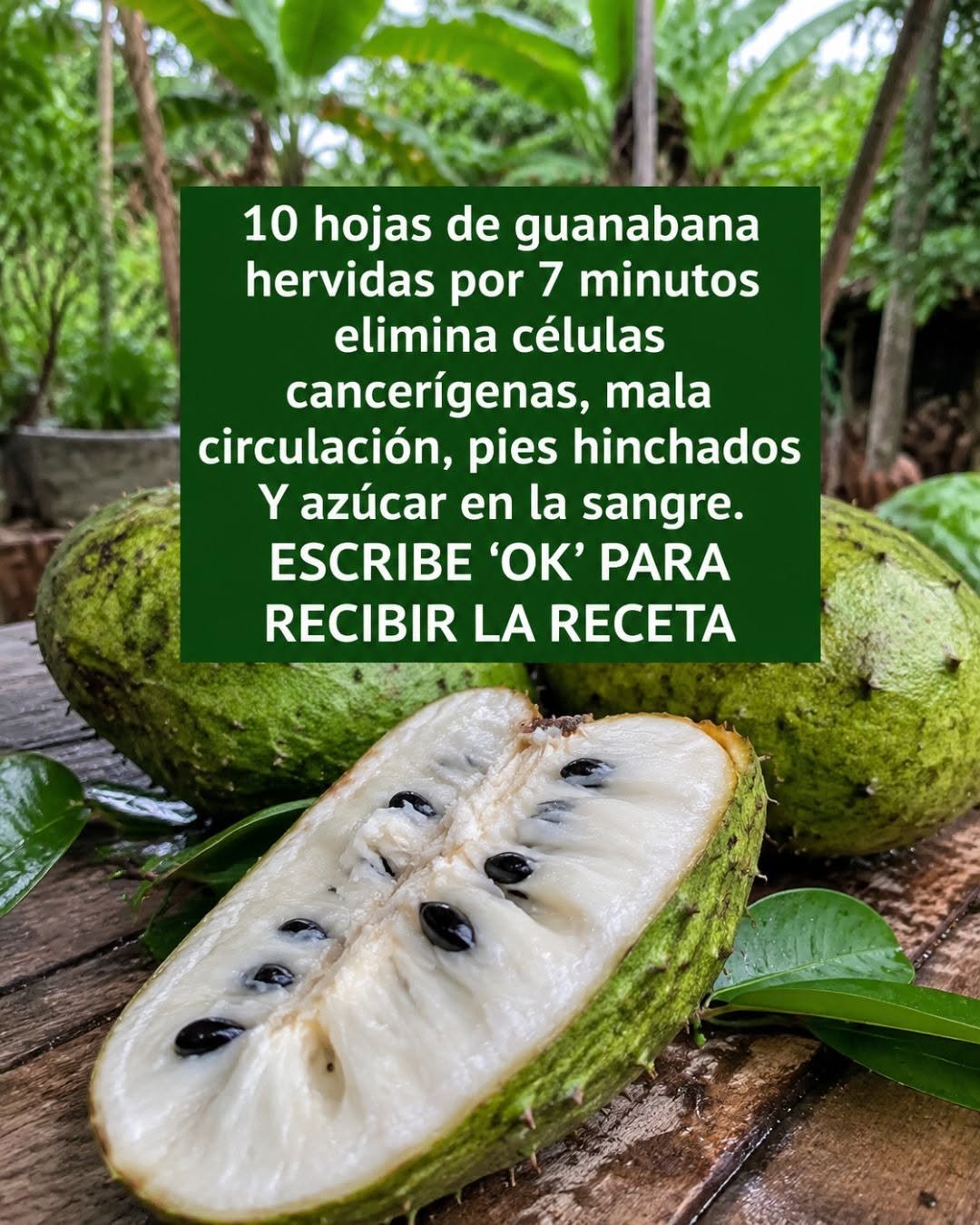 Hojas de guanábana