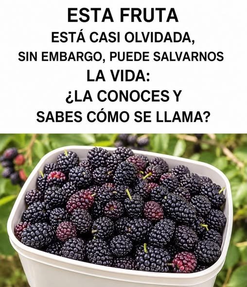 Recipiente lleno de moras