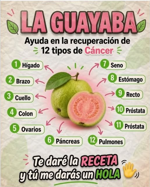 Propiedades Medicinales de la Guayaba Morada