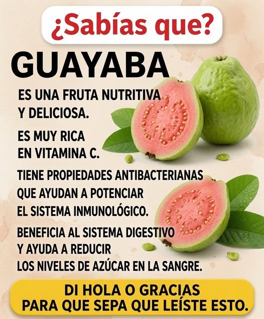 Guayabas frescas