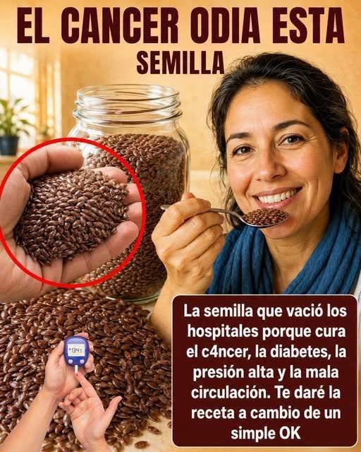 Semillas y sus beneficios