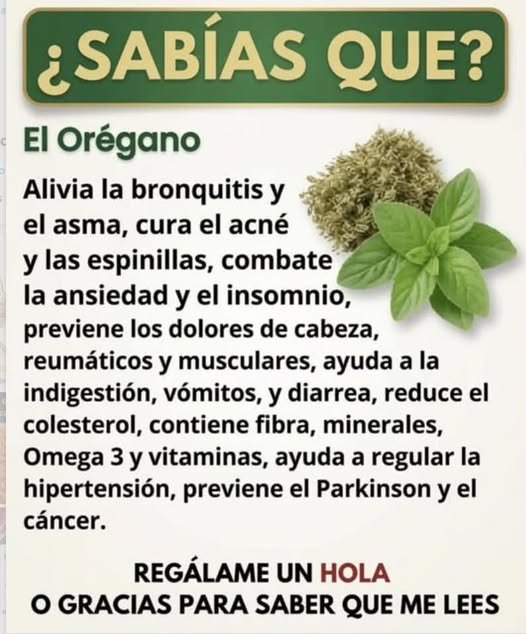 Orégano seco e ingredientes para infusión