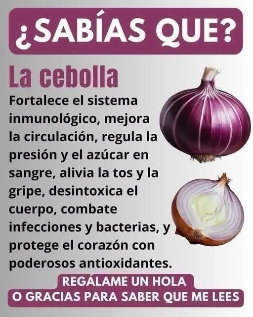 Beneficios de la Cebolla para la Salud