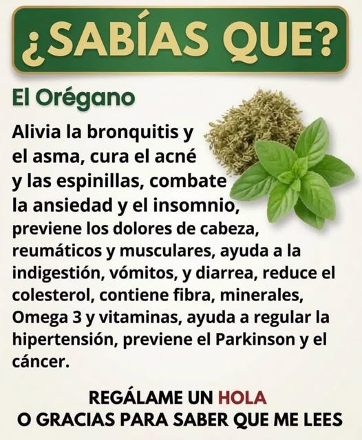 Beneficios del orégano