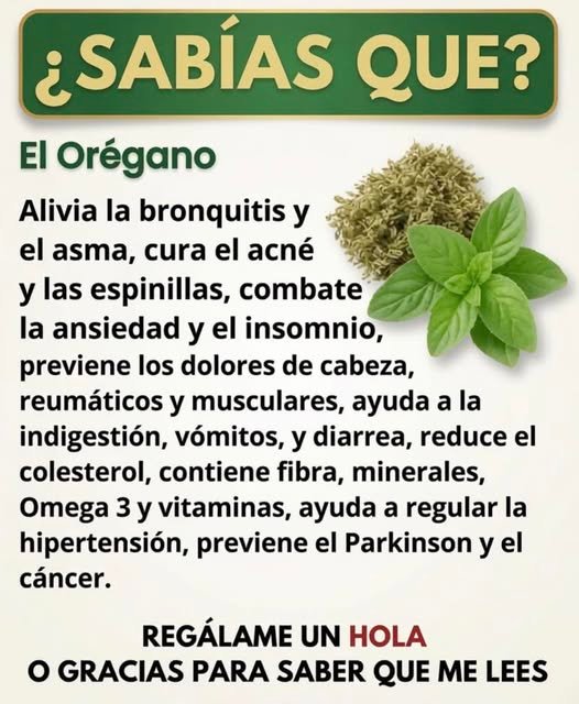 Beneficios del Orégano Orejón