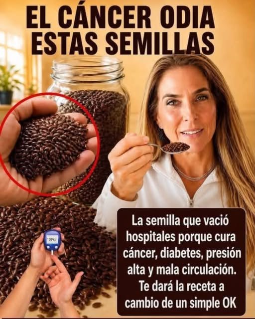Semillas de chía en una cuchara