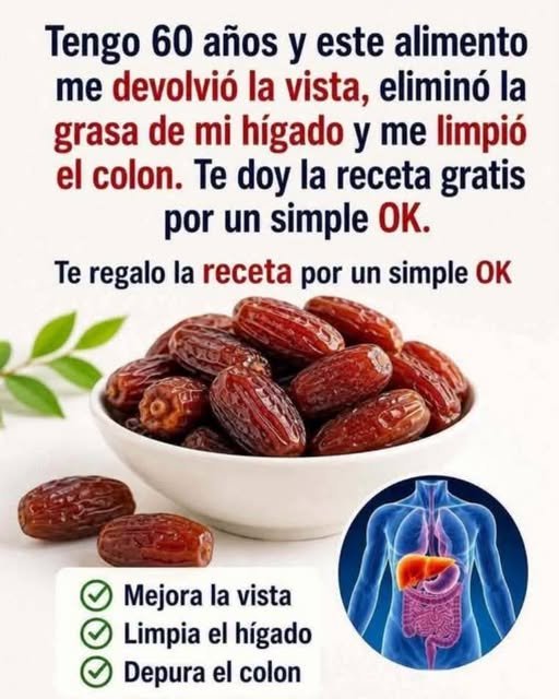 Sistema Digestivo Humano