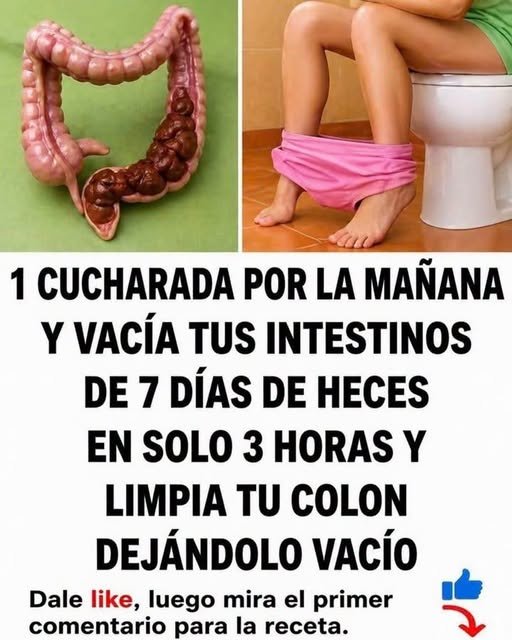 Salud Digestiva