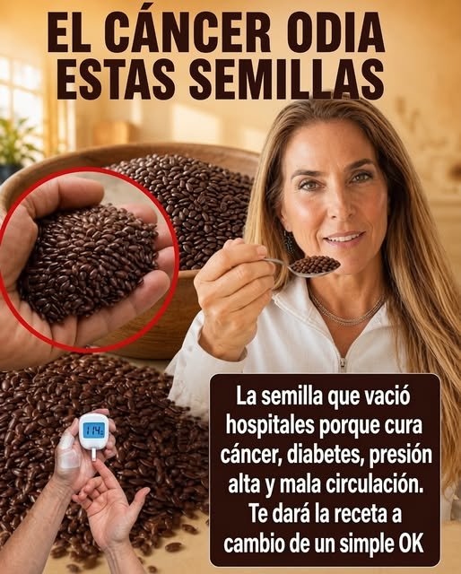 Chía y salud