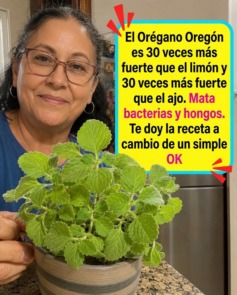 Orégano Oregón