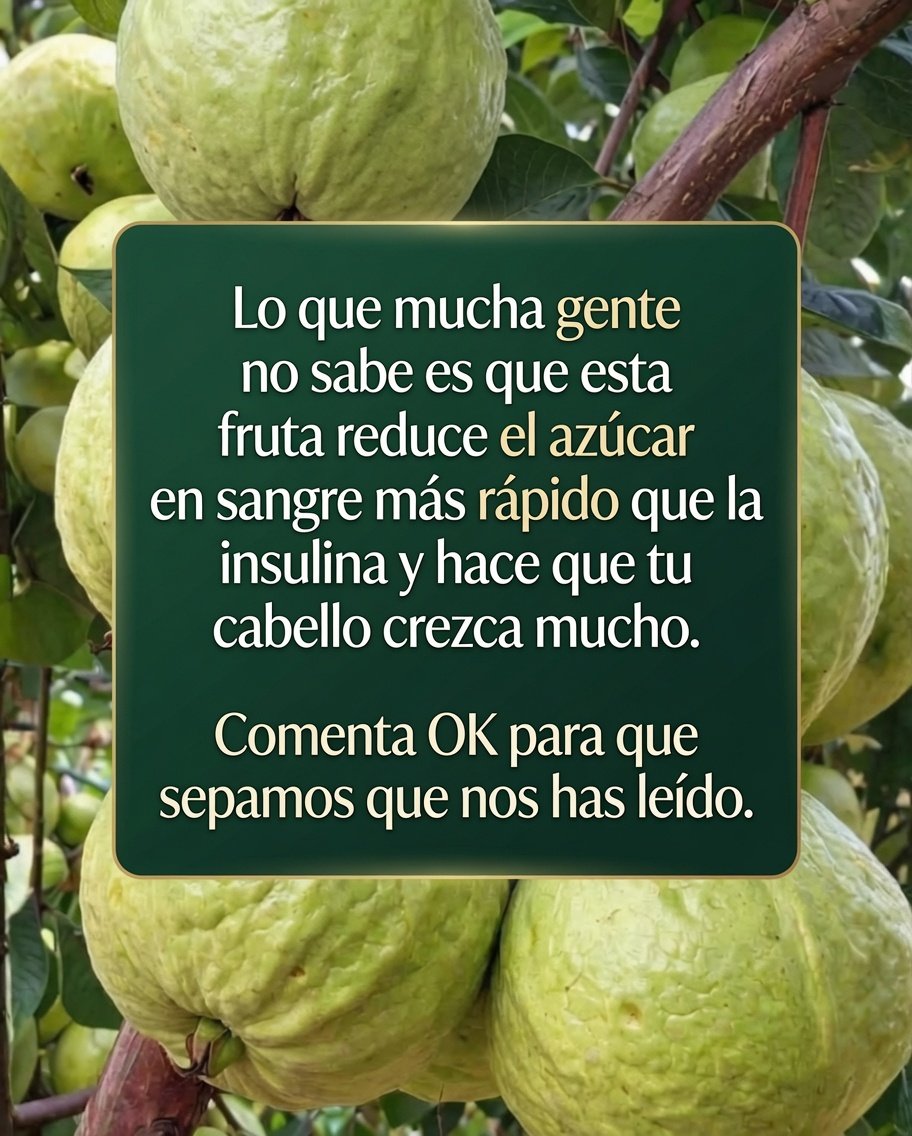 Guayabas en un árbol